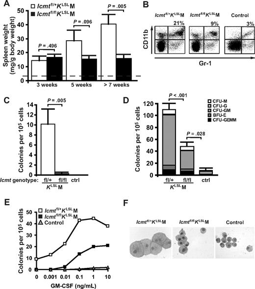 Figure 3. Inactivation of Icmt reduces splenomegaly and colony growth of splenocytes in mice with K-RAS–induced MPD. (A) Spleen weight of Icmtfl/+KLSLM (n = 3, 5, and 9 at the 3 indicated times, respectively) and Icmtfl/flKLSLM mice (n = 4, 6, and 9). Average spleen weight of wild-type mice (dashed line; n = 20) was 3 mg/g body weight. (B) Flow cytometry showing an increased percentage of CD11b/Gr-1 double-positive cells in spleens of Icmtfl/+KLSLM compared with Icmtfl/flKLSLM and wild-type mice. Shown are representative scatter plots from one mouse of each genotype and the mean percentage of double-positive cells (n = 4 for all genotypes). The increase in double-positive cells in the spleens of Icmtfl/+KLSLM mice was statistically significant (P = .043 vs Icmtfl/flKLSLM; P = .009 vs control). (C,D) Methylcellulose colony assays of splenocytes (n = 3-4) cultured in the absence (C) and presence (D) of exogenous growth factors (SCF, IL-3, IL-6, and EPO). CFU indicates colony-forming unit; GEMM, granulocyte-erythroid-macrophage-megakaryocyte; BFU-E, burst-forming unit erythroid; GM, granulocyte-macrophage; G, granulocyte; M, macrophage. (E) Colony growth of splenocytes (n = 3-4 for each genotype) seeded in methylcellulose at the indicated concentrations of GM-CSF. (F) May-Grünwald-Giemsa–stained cytospins of individual colonies from experiment in panel D (original magnification ×100; 1.30 NA oil objective).