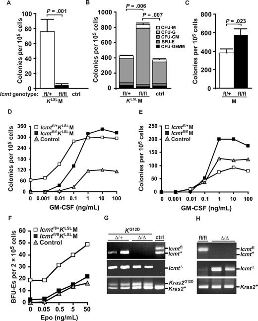 Figure 5. Knockout of Icmt reduces growth factor-independent colony growth of bone marrow cells from mice with K-RAS–induced MPD. (A,B,D) Methylcellulose colony assays of bone marrow cells (n = 3-5 for each genotype) cultured in the absence (A) and presence (B) of growth factors (SCF, IL-3, IL-6, and EPO), and the indicated concentrations of GM-CSF (D). (C,E) Colony growth of bone marrow cells from Icmtfl/+M (n = 3) and Icmtfl/flM mice (n = 3) (without the Kras2LSL allele) cultured in the presence of growth factors (C) or the indicated concentrations of GM-CSF (E). (F) BFU-E formed by bone marrow cells (n = 2 for each genotype) cultured in the indicated concentrations of EPO. (G,H) PCR amplification of genomic DNA from individual colonies. The genomic DNA used in panel G is from colonies from experiments in Figures 3D and 5B. DNA used in panel H is from experiments in panel C.