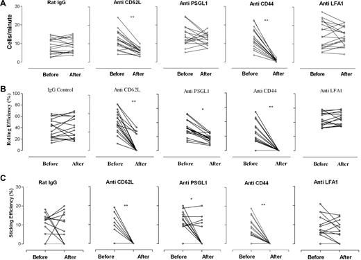 Figure 1. Effect of monoclonal antibodies on monocyte trafficking in retinal vessels in EAU. Blocking antibodies to CD62L, CD44, and PSGL-1 significantly reduced rolling and sticking of monocytes in inflamed vessels. Freshly isolated EGFP bone marrow–derived monocytes (8 × 106) were injected intravenously into mice immunized 21 to 24 days previously with peptide to induce EAU. After 48 hours, cell trafficking in the retinal vasculature was analyzed by SLO. Retinal images were recorded for 15 minutes, and then mice were injected intravenously with 30 μg/mouse of rat anti–mouse antibody, and recording continued for a further 20 minutes. Data were then compared before and after antibody treatment. (A) Recirculation of adoptively transferred cells was expressed as the number of transferred EGFP monocytes detected in the same section of the retinal vessel before and after antibody infusion. (B) Rolling efficiency, expressed as the percentage of rolling fluorescent cells among the total number of fluorescent cells entering a venule before and after antibody infusion. (C) Sticking efficiency, expressed as the percentage of fluorescent monocytes within the same venule that remained adherent for at least 20 seconds. *P < .05; **P < .01; Student paired t test; n was at least 16 vessels from 3 mice.