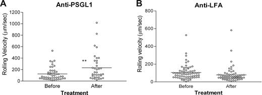 Figure 2. Monocyte rolling in inflamed retinal vessels is increased by blocking antibody to PSGL-1 but not LFA-1. Freshly isolated EGFP bone marrow–derived monocytes (8 × 106; A,B) were injected intravenously into mice immunized 21 to 24 days previously with peptide to induce EAU. After 48 hours, cell trafficking in the retinal vasculature was analyzed by SLO. Retinal images were recorded for 15 minutes, and then mice were injected intravenously with 30 μg/mouse of rat anti–mouse antibody to PSGL-1 (A) or LFA-1 (B) and recording continued for a further 20 minutes. Rolling velocity of transferred EGFP-expressing monocytes or T cells expressed as micrometers per second was calculated as described in “In vivo monocyte trafficking using scanning laser ophthalmoscopy” and for monocytes; data were compared before and after antibody treatment. The horizontal bar indicates the median value. *P < .05; **P < .01; Student paired t test; n was at least 36 randomly chosen rolling cells in venules of 3 mice.