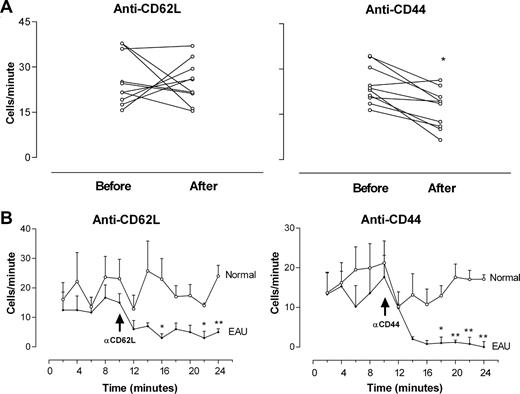 Figure 3. Depletion of circulating EGFP monocytes in the retinal vasculature by blocking mAb CD62L and CD44 is inflammation dependent. Freshly isolated EGFP bone marrow–derived monocytes (8 × 106) were injected intravenously into control mice or mice immunized 21 to 24 days previously with peptide to induce EAU. After 48 hours, cell trafficking in the retinal vasculature was analyzed by SLO. Retinal images were recorded for 10 minutes. Mice were then injected intravenously with 30 μg/mouse of rat anti–mouse antibody and recording continued for a further 20 minutes. Cells per minute passing through the same section of retinal vessel were compared before and after antibody treatment in control mice (A). (B) Recirculation of adoptively transferred cells was analyzed at 2-minute intervals (expressed as the number of transferred EGFP monocytes detected in the same section of retinal vessel) of control and EAU mice before and after antibody infusion. *P < .05; **P < .01; Student paired t test; n was at least 16 vessels from 3 mice in each group. Error bars represent SEM.
