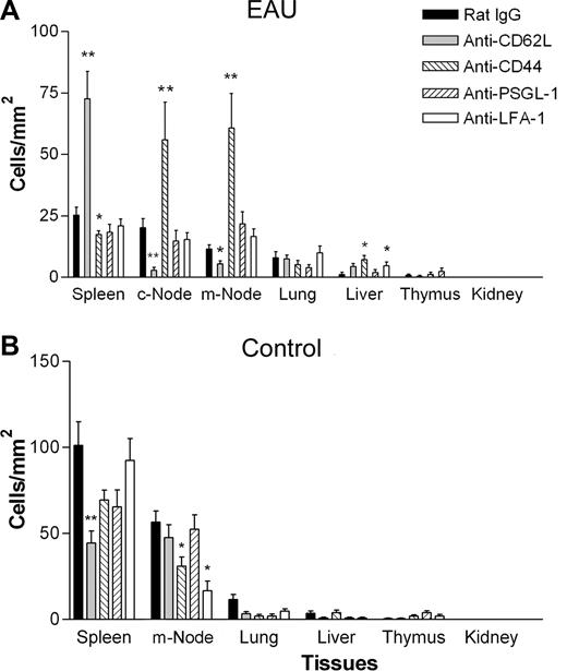 Figure 5. Adoptively transferred monocytes in anti-CD62L–treated mice home to the spleen, and in anti-CD44–treated mice monocytes home to the lymph nodes in EAU but not control mice. Effect of monoclonal antibody treatment on trafficking of adoptively transferred monocytes into secondary lymphoid and other tissues in control and EAU mice by confocal microscopy. Freshly isolated EGFP bone marrow–derived monocytes (8 × 106) were injected intravenously into mice immunized 21 to 24 days previously with peptide to induce EAU (A) or control mice (B). Mice were then injected intravenously with 30 μg of control IgG or blocking antibody per mouse per day for 3 days. Tissue samples were then snap frozen and cryosectioned, and the numbers of EGFP+ cells present in the tissues were enumerated (A,B). c-Node indicates cervical lymph node; m-Node, mesenteric lymph node. *P < .05; **P < .01; Student paired t test; n was at least 12 randomly chosen times 20 fields of view in tissue sections from 3 mice per group. Error bars represent SEM.