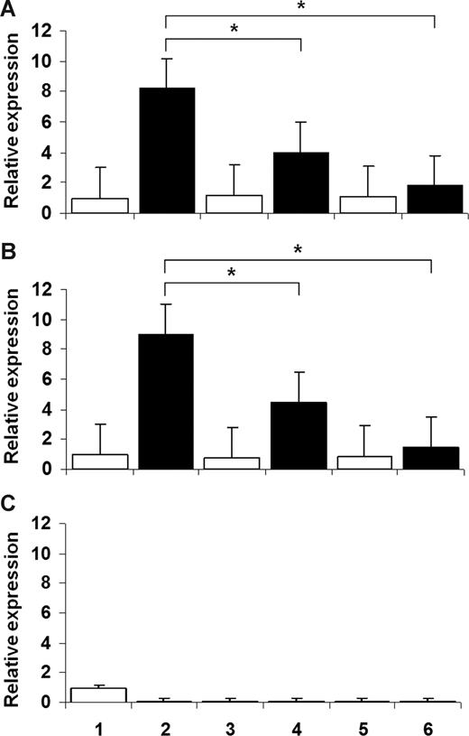 Figure 2. CYBB gene expression in U937 cells. Wild-type U937 cells (A) and U937 cells transfected with empty vector (B) show that the NF-κB inhibitors dexamethasone and gliotoxin decreased the levels of CYBB gene expression in myelomonocytic cells induced to differentiate by IFN-γ and TNF-α (P < .05 in all situations; n = 8, Mann-Whitney test). (C) Marked down-regulation of CYBB transcript levels in a U937 subclone transfected with IκB S32A/S36A, not affected by treatment with exogenous inhibitors. In all panels: lanes 1, 3, and 5, undifferentiated U937 cells; lanes 2, 4, and 6, U937 cells induced to differentiate by IFN-γ and TNF-α; lanes 1 and 2, no inhibitor; lanes 3 and 4, dexamethasone (1 μmol/L); lanes 5 and 6, gliotoxin (10 μmol/L).
