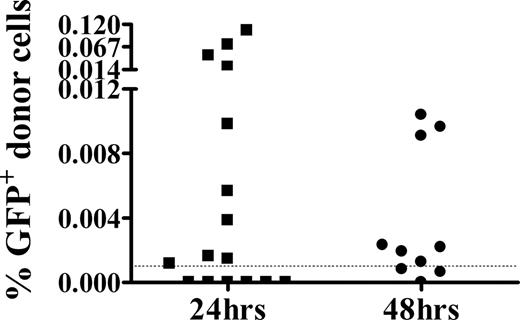 Figure 1. GFP+ donor cells are detectable at NIMA-like levels 24 hours and 48 hours after injection into neonates. BALB/c neonates were injected intravenously with GFP+ adult spleen cells. Twenty-four or 48 hours later, spleens from individual mice were harvested for DNA, which was used in a GFP-specific real-time PCR assay. For quantitation, a standard curve consisting of DNA from a 0.001% to 1% GFP+ cell mixture was generated in parallel. The limit of sensitivity of this assay was 0.001% (dashed line). Individual animals from 3 independent experiments are shown.