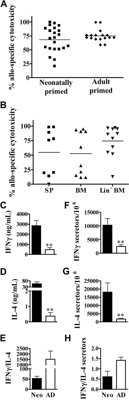Figure 3. The development of robust in vivo memory cytotoxic and Th1/Th2 responses upon exposure of neonates to NIMA-like alloantigens. (A) Neonates (n = 22) and adults (n = 17) were injected with allogeneic spleen cells, as described for Figure 2. Five to 15 weeks later, the percentage of allospecific cytotoxicity in individual spleens was determined as described in “In vivo cytotoxicity assays.” A minimum of 1 × 106 total cells were examined for each sample. Data from individual mice from 3 independent experiments are depicted (variations in responses were observed within each experiment). The average percentage of allospecific cytotoxicity was not significantly different (2-tailed t test) between neonates and adults. (B) Neonates were injected with allogeneic spleen cells (SP), bone marrow (BM), or Lin− BM cells, as described in “Preparation and injection of donor cells.” Five to 6 weeks later, the percentage of allospecific cytotoxicity in individual spleens was determined. Data are pooled from 2 independent experiments; n = 9 for SP, n = 10 for BM, and n = 11 for Lin− BM. The average percentage of allospecific cytotoxicity was not significantly different (2-tailed t test) between groups. (C-H) Neonates and adults were injected with allogeneic cells, as described for Figure 2. Memory CD4+ cytokine responses were then assayed by ELISA (C-E) and the frequency of cytokine-producing memory cells was determined by ELISPOT (F-H), as described in “Culture conditions for cytokine ELISA and ELISPOT.” The in vitro responses of age-matched, naive controls, determined in parallel, were as follows: for neonates: IFNγ, 155 (± 44) ng/mL and 1728 (± 826) secretors/106 cells; IL-4, 1.0 (± 0.7) ng/mL and 2113 (± 636) secretors/106 cells; for adults: IFNγ, 187 (± 41) ng/mL and 2146 (± 2112) secretors/106 cells; IL-4, 0.28 (± 0.1) ng/mL and 2221 (± 1056) secretors/106 cells. Error bars represent the mean (± SD) of data from 4 independent experiments. Statistical significance was determined using a 2-tailed t test; **P < .005