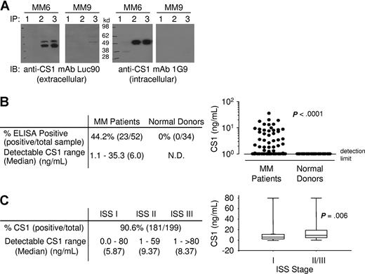 Figure 3. CS1 mediates MM cell adhesion to BMSC, which is blocked by HuLuc63. (A) MM lines and freshly isolated patient MM cells were incubated with 10 μg/mL of CS1-AF488 (green), washed, fixed, mounted, and viewed on a Zeiss microscope with a 40× objective. Images were processed using Adobe Photoshop Software version 7.0 (Adobe, San Jose, CA). CS1 is concentrated in uropods of polarized MM cells that promote adhesion. (B) CS1 (green) is colocalized with CD138 (red), exhibiting yellow staining in uropods of the majority of polarized L636 MM cells. (C) Lentiviruses expressing CS1 siRNA or control (cnt) siRNA were generated and used to infect MM1S cells. Immunoblotting using ChLuc90 mAb confirmed CS1 knockdown in clone 1. 293tflagCS1 expressing CS1 and 293t without CS1 expression served as controls. DAPI staining indicates nuclei of cells. (D) Calcein-AM labeled MM1S and MM1R cells, as well as CS1-null counterparts (MM1S CS1 siRNA and MM1R CS1 siRNA), were added to BMSC-coated 96-well plates, in the presence of iso IgG1 (□) or HuLuc63 (■; 0.1 μg/mL) for 4 hours. Unattached cells were washed and adherent cells were measured in a fluorescence plate reader. Shown is mean plus or minus SE of 3 independent experiments. A.U. indicates arbitrary unit. *P < .05. Error bars represent range of data. (E) Adhesion of MM1S and MM1R MM cells to BMSCs was assayed in the presence of HuLuc63 or iso IgG1. Shown is mean plus or minus SE of triplicate wells from one representative of 3 independent experiments. (F) HuLuc63 specifically inhibits patient MM cells (■ indicates MM1; ◆;; MM2) binding to BMSCs. (G) CS1 + CD138 + MM cells from 2 patients (MM 1 and MM 2) were incubated with HuLuc63 (0-100 μg/mL). (H) CS1 + MM cells from 2 patients were cultured with (■) or without (□) BMSCs, in the presence of HuLuc63 (0-100 μg/mL). Cell viability was determined by MTT assay. Shown is mean plus or minus SE of 3 independent experiments.