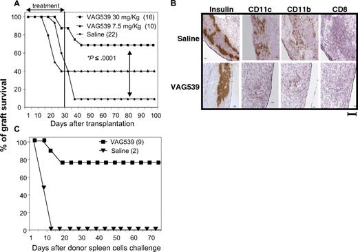 Figure 1. Inhibition of immune cell infiltration and induction of active tolerance by the low-molecular-weight compound VAG539. (A) Diabetic Balb/c female mice received a transplant of pancreatic islets isolated from C57Bl/6 allogeneic donors and were treated orally with VAG539 from day 1 to day 30 after transplantation (at 30 or 7.5 mg/kg per day). Graft survival was monitored by weekly measurement of blood glucose level. (B) Balb/c recipient mice received a transplant of C57Bl/6 islets and were treated orally with saline or VAG539 (30 mg/kg per day). Ten days after transplantation, kidneys were extracted, cryosectioned at the transplant area, and stained for the indicated markers. Sections from treated mice display reduced infiltration of DCs and CD8+ T cells into the transplant area (bar represents 100 μm). (C) VAG539 (30 mg/kg)–treated and control mice with long-term graft survival, shown in panel A, were challenged with fresh donor-type splenocytes (3 × 107 intraperitoneally). Graft survival was monitored by measurement of blood glucose level (see also Table 1).