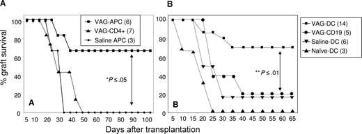 Figure 3. Transfer of DCs from VAG539-tolerized mice inhibits allograft rejection. (A) CD90− antigen-presenting cells (VAG-APCs) or CD4+ T cells (VAG-CD4+) were purified from spleens of VAG539-treated graft-accepting mice, and CD90− antigen-presenting cells (saline APCs) were purified from spleens of saline-injected graft-rejecting mice 60 days after transplantation. Cells were injected (intravenously, 5 × 106 APCs or 3 × 106 T cells) into naive mice 1 day prior to islet transplantation. (B) CD11+ (VAG-DCs) or CD19+ (VAG-CD19) cells were purified from spleens of VAG539-treated graft-accepting mice 60 days after transplantation. As control, CD11c+ DCs were purified from spleens of saline-injected graft-rejecting mice 60 days after transplantation (saline-DCs) or of naive BALB/c mice (naive-DCs). Purified CD11c+ DCs (3 × 105) or CD19+ B cells (5 × 106) were injected intravenously 1 day before islet transplantation (2-tailed t test: **P < .01; *P < .05).