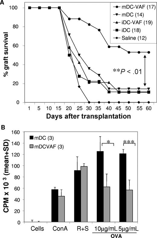 Figure 6. Cell therapy with VAF347-BMDCs prevents islet allograft rejection. Balb/c bone marrow cells were differentiated into immature BMDCs by 6-day culture in the presence of GM-CSF with or without VAF347 (20 nM). On day 6, an aliquot of cells was activated with LPS (1 μg/mL) for additional 8 hours. (A) LPS-activated VAF347-BMDCs (mDCs-VAF), nontreated BMDCs (mDCs), immature VAF347-BMDCs (iDCs-VAF), and immature nontreated BMDCs (iDCs) were injected intravenously (3 × 105) into diabetic Balb/c females 1 day prior to C57Bl/6 islet allograft transplantation (2-tailed t test: **P < .01). (B) Balb/c mice (n = 3) were immunized with OVA in CFA 1 day after intravenous injection of LPS-activated VAF347-treated (mDCs-VAF) or LPS-activated nontreated BMDCs (mDCs). Seven days later, draining lymph node cells were isolated and stimulated with Con A (1.25 mg/mL), with C57Bl/6 irradiated CD90− APCs (1:1 ratio; proliferation of stimulator cells alone was < 130 cpm), or with OVA at the indicated concentrations (2-tailed t test: *P < .05; ***P < .001). Error bars represent standard deviation between different mice (n = 3).