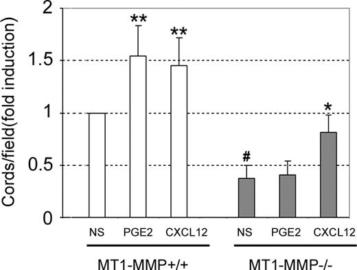 Figure 6. PGE2-induced angiogenesis in vitro requires the presence of MT1-MMP. MLECs from WT (MT1-MMP+/+) or MT1-MMP KO (MT1-MMP−/−) mice were seeded onto Matrigel in the presence or absence (NS) of PGE2 (1 μM) or the proangiogenic factor CXCL12 (10 nM). Cord formation was quantified after 6 hours. Data are presented as the fold induction above cord formation by untreated cells, and are the means plus or minus SD of 3 to 5 independent experiments. The absolute value corresponding to FI = 1 was 66 cords/field. All experiments were run in triplicate. *P < .05 vs KO control; **P < .01 vs WT control; #P < .001 vs WT control.