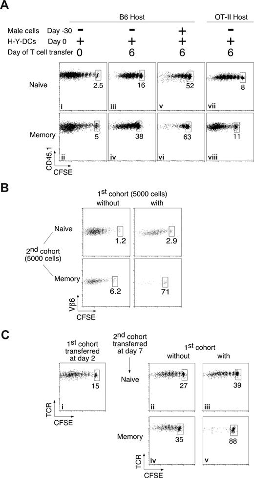 Figure 2. The preferential inhibition of memory T cells is observed under physiological conditions. (A) Physiologic numbers of responding endogenous polyclonal T cells preferentially inhibit memory T-cell proliferation. Naive (106; top panels) or memory (2 × 106; bottom panels) CD45.1 CFSE-labeled Marilyn cells were injected intravenously into B6 (i-vi) or OT-II (vii,viii) mice immunized by injection of 106 H-Y peptide–loaded LPS-matured DCs into the footpad. (i,ii) Low initial frequencies of endogenous responding T cells do not inhibit naive or memory Marilyn T cells; naive or memory CD45.1 Marilyn T cells were injected on the same day as the H-Y peptide–loaded DCs. (iii-vi) Higher frequencies occurring later in the response inhibit proliferation of newly entering cells. Six days after the initiation of the primary endogenous response by injection of peptide-pulsed DCs into naive B6 hosts (iii,iv), or after a boost of mice that had been immunized 30 days previously (v,vi), new naive or memory CD45.1 CFSE-labeled Marilyn cells were injected, and proliferation was analyzed 6 days later. (vii,viii) Extremely low initial frequencies do not expand to inhibitory numbers in 6 days. Marilyn T cells were injected and analyzed as in panels iii,iv, but into OT-II hosts. Plots are of gated TCR+CD45.1+ cells from the DLN, and are representative of at least 2 experiments with at least 2 mice each per group. (B) Small numbers of responding T cells strongly inhibit small numbers of memory T cells. Five thousand naive (top panels) or memory (bottom panels) CD45.1 Marilyn T cells were injected into primed B6 hosts in the absence (left panels) or the presence (right panels) of a previous cohort of 5000 CD45.2 Marilyn T cells injected 6 days earlier, as in Figure 1A. Pooled draining lymph nodes of 8 to 20 mice were studied. Dot plots of gated TCR+CD45.1+ cells with the percentage of undivided cells are shown. (C) An immune response to endogenous DCs that have processed Ag from a peripheral solid tumor preferentially inhibits memory T-cell proliferation. CD45.2 B6 mice received a transplant of an MCA101 tumor cell line, transfected with the DBY protein.24 Two days later, they were given a first cohort of CD45.2+ Marilyn T cells (right panels) or not (left panels). Naive (top panels) or memory (bottom panels) CD45.1+ Marilyn T cells were injected 5 days later. Dot plots of gated TCR+CD45.1+ cells from the immunization DLN are representative of at least 3 experiments with 2 mice each per group.