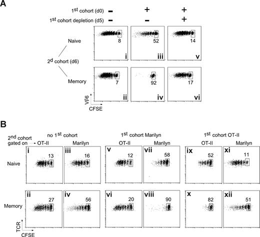 Figure 3. The inhibition is Ag specific and requires the presence of the first cohort of T cells. (A) The inhibition depends on the presence of the first cohort of T cells. Naive (106) or memory (2 × 106) Marilyn T cells were injected into OT-II hosts that had been primed 6 days earlier with H-Y peptide–loaded mature DCs, in the presence (iii-vi) or not (i,ii) of a first cohort of Marilyn-Lat-DTR T cells. The day before the injection of the second cohort, Marilyn-Lat-DTR cells were deleted (v,vi) or not (iii,iv) by the injection of DT. Dot plots of gated CD4+CD45.1+ cells from the DLN studied 6 days later (day 6 + 6) are representative of at least 2 experiments with 2 mice each per group. (B) The inhibition is Ag specific. CD45.1 B6 mice were injected or not (i-iv) with a first cohort of naive CFSE-labeled Marilyn (v-viii) or OT-II (ix-xii) Tg CD4 T cells and were then immunized with LPS-matured DCs pulsed with both OVA and H-Y peptides. Six days later, CFSE-labeled naive (top panels) or memory (bottom panels) OT-II and Marilyn cells were coinjected in the same mouse. Proliferation was measured on the second cohorts (CD45.2+, and Vβ6+ for Marilyn, Vα2hi for OT-II) in the same mouse 6 days later. Representative of 2 independent experiments with 2 mice each per group.
