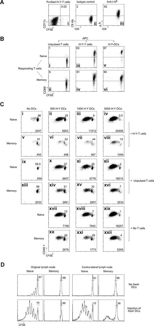 Figure 5. Marilyn CD4 T cells capture MHC-II/H-Y in vitro, and induce death of memory but not naive T cells. (A) Purification of MHC-II–bearing T cells. Lymph node CD45.2 Marilyn cells were incubated with H-Y peptide–loaded (100 nM), CFSE-labeled, LPS-matured DCs. Twenty hours later, the T cells were FACS sorted according to CD11c and CFSE expression with exclusion of the doublets. (i) Postsort analysis of the CFSEneg/CD11cneg T-cell fraction. (ii,iii) Expression of Ab by the sorted T cells. (B) T cells that have captured MHC-II/H-Y complexes present them to naive and memory Marilyn T cells. (i,ii) CD45.2 fixed (as described in “In vitro experiments”) naive LN Marilyn cells (0.5 × 106), (iii,iv) 0.5 × 106 purified CD45.2 fixed T cells that had captured MHC-II/H-Y complexes, or (v,vi) 5000 purified H-Y–bearing fresh DCs were used to stimulate 2 × 104 CFSE-labeled CD45.1 naive Marilyn LN cells or negatively purified memory Marilyn T cells. CD69 expression was measured the following day. Representative of 3 experiments. (C) T cells that have captured MHC-II/H-Y complexes suppress memory but not naive Marilyn T-cell proliferation. Purified CD45.2 fixed naive LN Marilyn cells (0.5 × 106), or 0.5 × 106 purified CD45.2 fixed T cells that had captured MHC-II/H-Y complexes (H-Y T cells), or not (unpulsed T cells), and/or various numbers of H-Y–bearing fresh DCs were used to stimulate 2 × 104 CD45.1 naive or memory Marilyn T cells that had been negatively purified by FACS and then CFSE labeled. Proliferation was measured at day 3 by CFSE dilution. Percentage of undivided cells is indicated in each panel, and numbers of recovered cells/well are indicated at the bottom of each panel. Representative of 4 experiments. (D) Fresh DCs, able to stimulate naive cells, cannot relieve inhibition of memory T cells. B6 mice were injected with CD45.2 CFSE-labeled Marilyn cells and were immunized the next day with H-Y peptide–loaded LPS-matured DCs in one hind footpad. Naive or memory CD45.1 CFSE-labeled Marilyn cells were transferred 5 days later. Four hours later, some of the mice (bottom panels) received a second immunization with H-Y peptide–loaded DCs into both the original and the contralateral footpad. The CFSE profile is shown on the second cohort (TCR+ CD45.1+ cells) in the original DLN (left panels) or in the contralateral DLN (right panels) 6 days after they were injected. Representative of 2 experiments with 2 mice per group in each.