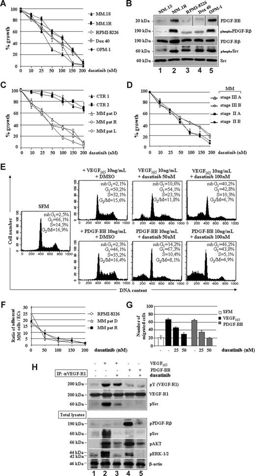 Figure 2. Dasatinib reduces MM cell growth and survival by targeting VEGF165 and PDGF-BB downstream signaling. (A) Proliferation of human MM cell lines treated with dasatinib for 48 hours. Data indicate the percentage of growth inhibition (± SD) of triplicate experiments. (B) Western blotting analysis of PDGF-BB, PDGFRβ, and pp60c-Src expression/activation status in the indicated MM cell lines. Vertical lines have been inserted to indicate a repositioned gel lane. (C) Antiproliferative effect of dasatinib in control BMMCs (CTR1 and CTR2) and plasma cells isolated from one representative patient with MM at diagnosis (MM-PC, D), relapse (MM-PC, R), or leukemic progression (L). (D) Antiproliferative effect of dasatinib in representative MM cases staged as indicated. (E) MM plasma cells were serum-starved (SFM) for 16 hours and then incubated with VEGF165 and PDGF-BB in the presence of DMSO or dasatinib for 48 hours. Survival and cell- cycle distribution were assessed by propidium iodide staining and FACS analysis. (F) Adhesion cocultures of confluent MM patient-derived ECs (MMECs, 106) and CSFE-prelabeled RPMI 8226 or MM plasma cells from patients (2 × 106) incubated with or without dasatinib for 24 hours. Values represent the mean ratios of adherent MM plasma cells over MMECs from 3 independent experiments (P = .001). (G) Growth factor-deprived MM plasma cells were pretreated with or without dasatinib for 30 minutes, plated on a fibronectin-coated polycarbonate membrane in a Boyden chamber, and exposed to 10 ng/mL VEGF165 or PDGF-BB for 6 hours. Data are means (± SD) of migrated cells in 5 fields (original magnification ×400). (H) Serum-starved MM plasma cells (−) pretreated with 50 nM of dasatinib (30 minutes) were stimulated with 10 ng/mL VEGF165 or PDGF-BB for 15 minutes. VEGFR1 (IP: αVEGFR1) immunoprecipitates and total cell lysates were immunoblotted as indicated.