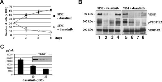 Figure 4. Dasatinib blocks the spontaneous proliferation of MM patient ECs (MMECs) by preventing constitutive VEGF/VEGFR2 loop. (A) Proliferation of MMECs cultured in serum-free medium (SFM) in the absence or in the presence of dasatinib 50 nM for 2, 4, and 8 days (104 cells/well). Data were expressed as percentage of growth inhibition. Error bars represent SD of triplicate experiments. (B) Whole lysates prepared from cells treated as described were examined by SDS-PAGE analysis, as indicated. (C) VEGF concentrations were measured in triplicate by ELISA in conditioned media (CM) of MMECs cultured with dasatinib (10-25 nM) for 48 hours. Protein levels of secreted VEGF in the CM were also assessed by Western blotting analysis, as indicated.