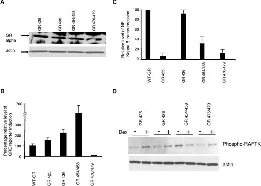 Figure 2. Analysis of MM1R cells expressing GR mutants. (A) Western blot analysis of MM1R cells expressing 4 different GR mutants for GR expression with actin control. (B) Fold induction of GRE reporter expression with dexamethasone treatment of MM1R cells expressing wild-type GR or 4 GR mutants. The relative level of GRE reporter expression on dexamethasone treatment of MM1R-WT-GR cells was arbitrarily made 100%. Data from 3 experiments (mean ± SD). (C) Relative NF-κB transrepression with dexamethasone treatment. The data shown as NF-κB reporter inhibition relative to the repression observed in MM1R-WT-GR cells (arbitrarily 100%). Data are mean plus or minus SD of 3 separate experiments. (D) Western blot analysis of GR mutants, in the presence or absence of dexamethasone 10−6 M for 14 hours. (Top panel) Phospho-RAFTK. (Bottom panel) Actin.