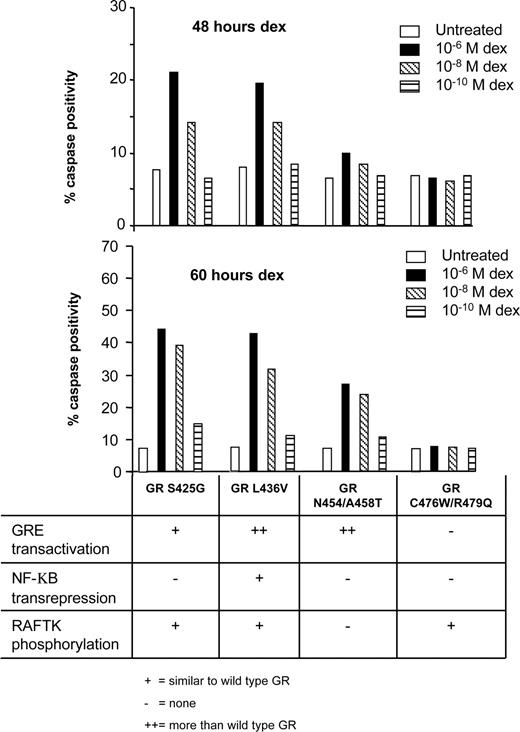 Figure 3. Percentage apoptosis as determined by caspase 3 assay and flow cytometric analysis. Cells were treated with 3 different concentrations of dexamethasone for 48 hours (top panel) and 60 hours (middle panel). The experiment was performed twice with similar results. (Bottom panel) Table describing the properties of transactivation, transrepression, and RAFTK phosphorylation for the cells expressing GR mutants.