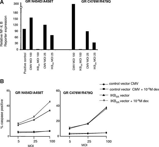 Figure 4. Inhibition of NF-κB activity in MM1R cells expressing GR mutants, GR N454D/A458T, and GR C476W/R479Q. (A) Inhibition of NF-κB activity in cells infected with adenoviral vector expressing Iκ superrepressor. Cells expressing mutant GR N454D/A458T and C476W/R479Q were infected with either a control adenovirus (CMV) with no transgene or adenovirus expressing Iκ superrepressor at an MOI of 100 and 25, and 24 hours later transfected with NF-κB luciferase reporter, rel A expression plasmid (PLG033-P65-SP10), and TK-Renilla luciferase reporter (“Reporter assays”). Twelve hours after transfection, cells were analyzed by a dual luciferase assay. Data shown as ratio of firefly to Renilla luciferase, relative to the cells not infected with viral vector. (B) Cells expressing mutant GR N454D/A458T and C476W/R479Q were infected with either a control adenovirus (CMV) with no transgene or adenovirus expressing Iκ superrepressor at MOI 5, 25, and 100 and simultaneously treated with 10−6 M dexamethasone. Caspase assay was performed at 48 hours after infection and initiation of dexamethasone treatment.