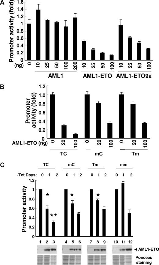 Figure 4. Promoter activity assay. (A) Luciferase reporter activity was examined with various amounts (nanograms) of pcDNA6-HA-AML1–, pcDNA6-HA-AML1-ETO–, or pcDNA6-HA-AML1-ETO9a–transfected 293T cells. pBAAE35-TK-luc (TC, 50 ng, wild type), pCMV5-CBFb 21.5 (150 ng), and pNull-renilla luciferase (5 ng) were cotransfected. The value of y-axis is a fold change of luciferase activity compared with vector alone. The results are presented as the mean value of 3 independent experiments; error bars represent standard deviation. The almost equal level of protein expression induced from each amount of plasmid DNA was confirmed by immunoblotting with anti-HA antibody (data not shown). (B) Luciferase reporter assay was performed with 293T cells transfected with 50 ng wild-type (TC) or mutant (mC and Tm) of pBAAE35-TK-luc, 150 ng pCMV5-CBFb 21.5, and 5 ng pNull-renilla luciferase and increasing amount of pcDNA6-HA-AML1-ETO expression plasmid. (C) U937T-AML1-ETO cells were stably transfected with wild-type phSeparase-luc (TC) or the constructs including mutated AML1-binding sites (mC, Tm, mm). Two independent cell pools stably transfected with each construct were used in this study. The value of y-axis is a fold change of luciferase activity compared with day 0 of tetracycline (tet) withdrawal. The results are presented as the mean value of 3 independent experiments; error bars represent standard deviation. At day 1 of the tet withdrawal, statistically significant P values compared with mm control (*t test, P < .001 for TC, mC, and Tm) are indicated. At day 2 of the tet withdrawal, statistically significant P value compared with mm control (**t test, P = .005 for TC) is indicated. The expression of AML1-ETO was controlled by tet withdrawal, and protein expression was confirmed by Western blotting using anti-AML1 antibody (◀). Ponceau staining shows the relative amount of protein loading. As a negative control, all of these phSeparase-luc constructs were also stably transfected into parental U937T cells and no change of luciferase activity was detected after tet withdrawal (data not shown).