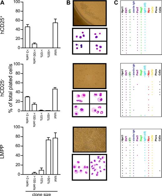 Figure 2. Activation of the Igll1 promoter is associated with a reduced myeloid potential in progenitor cells. (A) The cloning frequency and the size of the colonies obtained after culture of single cells in a mix of myeloid cytokines. Error bars represent SEM. (B) Colonies detected (50× magnification) and the morphology of the cells generated during in vitro incubation with cytokines as visualized by May-Grünwald Giemsa staining (MGG; 500× magnification). Cells displayed as one picture are collected from the same slide, but the images of individual cells have been moved to fit the picture format. Images of tissue culture plate wells were taken with an Olympus IX70 microscope (with a LCPlanF1 20×/0.40 Ph1 objective; Olympus Optical, Tokyo, Japan) using a Nikon E4500 camera (Nikon Nordic AB, Solna, Sweden). Images of MGG-stained slides were acquired with an Olympus BX51 microscope (with a UPlanF1 100×/0.30 oil objective; Olympus Optical) using an Olympus DP70 camera and acquisition software (DP Controller 1.1.1.65; Olympus, Tokyo, Japan). (C) The number of PCR-positive samples generated after analysis of 16 randomly chosen clones by multiplex RT-PCR. Each horizontal line of dots indicates the gene expression pattern observed in a single investigated clone. Data presented are collected from 2 independent experiments.