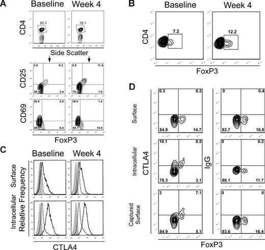 Figure 3. Expansion of FoxP3+ CD4+ T cells after treatment. (A) PBMCs from baseline and at week 4 from a subject in dose level 5 were stained for CD4, CD25, and CD69 with fluorescence-labeled antibodies. Anti-FoxP3 antibody staining was performed after cell permeabilization. Cells were then analyzed by flow cytometry and gated on CD4+ T cells. CD4+ T cells were gated (top panels) and analyzed for CD25, CD69, and FoxP3 expression. The numbers on plots represent the percentage of cells in each of the quadrants. Data are derived from 1 subject treated in dose level 5 and are representative of 6 subjects in this cohort. Gating for CD4+ FoxP3+ staining was set with results from isotype-matched control IgG staining. (B) PBMCs from baseline and at week 4 from a subject who received anti-CTLA4 antibody at 3 mg/kg alone in a separate clinical trial for metastatic hormone-refractory prostate cancer were also stained for CD4 and intracellular FoxP3. Results are representative of 3 patients assessed. (C) PBMCs from baseline and at week 4 from a subject in dose level 5 were stained for CD4 and FoxP3 as described. Phycoerythrin-labeled anti-CTLA4 antibody, which is not blocked by the study drug, was also added either before (surface staining, top panels) or after (intracellular staining, bottom panels) cell permeabilization. FoxP3+ CD4+ T cells (solid line) or FoxP3− CD4+ effector T cells (dashed line) were gated and assessed for CTLA4 expression. Staining with an isotype-matched control antibody is also shown (shaded histogram). (D) Dynamics of the intracellular pool of CTLA4 were assessed by surface capture staining. PBMCs from a representative subject in cohort 5 at week 4 of treatment were cultured for 6 hours and stained with antibody for surface CTLA4 or intracellular CTLA4 (after permeabilization) at the conclusion of culture, or the cells were cultured in a cocktail containing monensin, brefeldin A, and an anti-CTLA4 antibody to capture surface CTLA4 that translocates to the cell membrane over this time. PBMCs were also stained for CD4 and FoxP3 with fluorescently labeled antibodies, assessed by flow cytometry, and gated on CD4+ T cells. Results are representative of PBMCs from 3 different patients in cohort 5 at week 4 or at baseline.