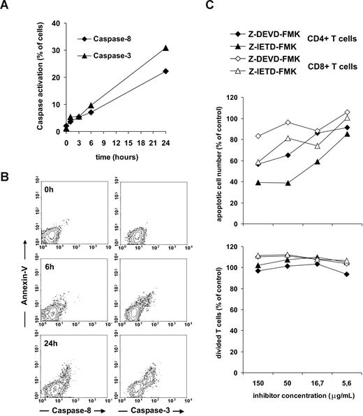 Figure 7. Role of caspase-8 and caspase-3 in Fas-mediated apoptotic and proliferative signaling of IL-7–treated T cells. T cells of noninfected individuals, pretreated by 25 ng/mL IL-7, were activated using 1 μg/mL coated anti-Fas and anti-CD3 mAbs. Caspase-8 and caspase-3 activation was measured by flow cytometry in the course of the 24-hour activation period (A). The association of caspase-8 and caspase-3 activation with annexin-V binding was monitored (B). Inhibitors of caspase-3 (Z-DEVD-FMK) and caspase-8 (Z-IETD-FMK) were added to T cells at different doses, and 30 minutes later the cells were activated with 1 μg/mL coated anti-Fas and anti-CD3 mAbs. The ratio of apoptotic cells was determined in the cultures after 24 hours using annexin-V staining; proliferation was measured after 4 days of activation using CFSE staining (C). A representative experiment of 3 is shown.