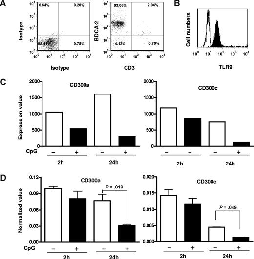 Figure 1. CpG down-regulates CD300a and CD300c transcripts in pDCs after CpG treatment. (A) pDCs isolated with the BDCA-4 kit were analyzed for purity by staining with BDCA-2 mAbs. Data were from one representative experiment (n = 10). Numbers on plots are percentages of purified BDCA-4+ cells. (B) Isolated pDCs were fixed and permeabilized and further stained intracellularly with TLR9-PE antibody and analyzed by flow cytometry. Data were from 1 of the 4 experiments. (C) pDCs were cultured with CpG ODN or control ODN for 2 and 24 hours; RNA were extracted and subjected to DNA microarray analysis. Normalized relative expression values of CD300a and CD300c mRNA in pDCs are shown (from left to right). Data were from one DNA microarray experiment. (D) Expression of CD300a and CD300c mRNA in pDCs (from left to right) cultured with or without CpG for 2 and 24 hours were analyzed using quantitative real-time PCR. Data were normalized according to level of the housekeeping gene UCE. Error bars represent SEM.