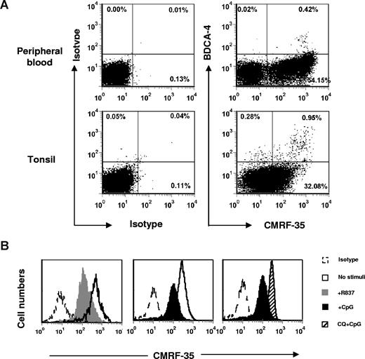 Figure 2. Surface expression of CD300a/c on pDCs and their down-regulation by R837 and CpG. (A) Mononuclear cells from peripheral blood and tonsil tissue were isolated using Ficoll-Paque Plus density centrifugation. Cells were stained with CMRF-35 mAb, anti–mouse Ig F(ab2)′-PE, and BDCA-4-APC, or appropriate isotype controls, and analyzed by flow cytometry. Data are representative of 8 blood and 4 tonsil samples. (B) Blood pDCs were stimulated for 48 hours with R837 or CpG. pDCs were treated with chloroquine (CQ; 10 μM) for 30 minutes before stimulation with CpG. The histograms show cells stained with CMRF-35 or isotype control, to monitor the expression of CD300a/c by flow cytometry. Open dashed line indicate isotype control; open solid line, no stimuli; gray filled histogram, with R837; black filled histogram, with CpG; filled with slash line, CQ + CpG. Data are representative of 3 experiments.