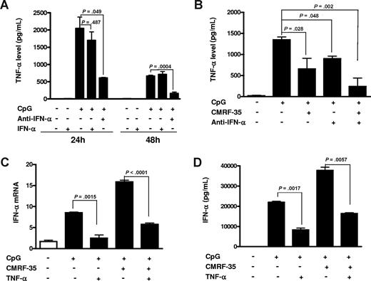Figure 6. CMRF-35 mAb cross-regulates IFN-α and TNF-α production by pDCs. (A) pDCs are cultured with or without IFN-α neutralizing antibody for 30 minutes, then cells were stimulated with CpG or IFN-α for 24 and 48 hours. TNF-α secretion level was analyzed in the supernatant of cultured pDCs. Data are representative of 3 experiments. (B) pDCs were cross-linked with CMRF-35 antibody for 30 minutes and cultured with or without IFN-α neutralizing antibody for another 30 minutes, then CpG or control ODN was added to the culture. Non–cross-linked pDCs were used as control. TNF-α secretion level was analyzed in the supernatant of cultured pDCs at 48 hours. Data are representative of 3 experiments. (C) pDCs were cultured with or without TNF-α and CpG after cross-linking with CMRF-35 antibody for 48 hours; IFN-α mRNA was measured by real-time PCR. Data are representative of 3 experiments. (D) IFN-α secretion level from pDCs cultured with or without TNF-α and CpG after cross-linking with CMRF-35 antibody for 48 hours was measured by ELISA. Non–cross-linked pDCs were used as control. Data are representative of 3 experiments. Error bars represent SEM.