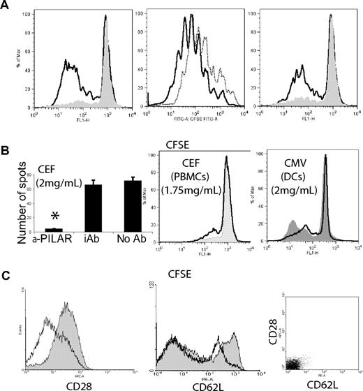 Figure 5. PILAR blockade impairs T-cell proliferation and IFN-γ production. (A) Miltenyi bead–purified, CFSE-labeled peripheral T cells were stimulated for 5 days with aAPCs coated with the following agonistic Abs: (left) αCD3 (100 ng/mL), (center) αCD3 plus αCD28 (100 ng/mL, each), (right) αCD3 plus αCD28 (0.5 and 100 ng/mL, respectively), in the presence of 20 μg/mL of either blocking anti-PILAR Abs (solid or dotted line) or an irrelevant rabbit Ab (open thick line). These results are representative of 4 independent experiments. (B) These results are representative of at least 2 independent experiments performed in quadruplicate. (left) IFN-γ ELISPOT analysis of PBMCs from an A2+ donor, stimulated for 7 days with A2+CD80+ aAPCs (10:1 ratio) pulsed with the CEF peptide pool (2 μg/mL of each peptide; Mabtech, Nacka Strand, Sweden), in the presence of20 μg/mL of anti-PILAR or an irrelevant Ab. (Center) CFSE-labeled PBMCs (2 × 106/mL) were incubated for 7 days with the CEF peptide pool in the presence of 20 μg/mL of anti-PILAR Abs (solid) or an irrelevant Ab (open). (Right) PBMCs stimulated for 7 days with autologous monocyte-derived dendritic cells (10:1 ratio, 106 total cells/mL), pulsed with pool of 138 Cytomegalovirus peptides (2 μg/mL; pp65 sequence, strain AD169; BD Bioscences), in the presence of 20 μg/mL of anti-PILAR (opened) or an irrelevant Ab (solid). Error bars indicate SE; *P = .02. (C) CD3/CD28 stimulation of peripheral T cells for 2 days in the presence of 20 μg/mL of anti-PILAR Abs (opened) resulted in a decrease in the expression of CD28 and CD62L, compared with the same lymphocytes stimulated with an irrelevant Ab (solid). CD28 and CD62L signal detected after staining with isotype control Ig is indicated. The experiment was repeated 3 times with similar results.