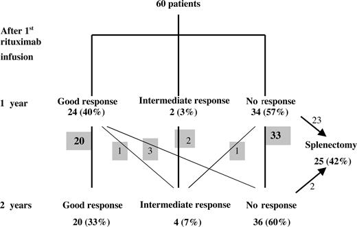 Figure 2. One- and 2-year outcomes. The figures in gray boxes are the numbers of patients in each group in the interim between 1 and 2 years.