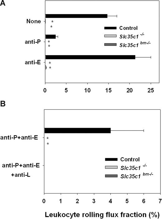 Figure 1. Leukocyte rolling in TNF-α–stimulated cremaster muscle venules. Leukocyte rolling flux fraction (mean ± SEM) was assessed in cremaster muscle venules of Slc35c1−/− mice, Slc35c1bm−/− mice, and littermate control mice 2 to 4 hours (A) and more than 4 hours (B) after injection of TNF-α. *Significant differences (P < .05) in leukocyte rolling flux fraction between Slc35c1−/− and littermate control groups.