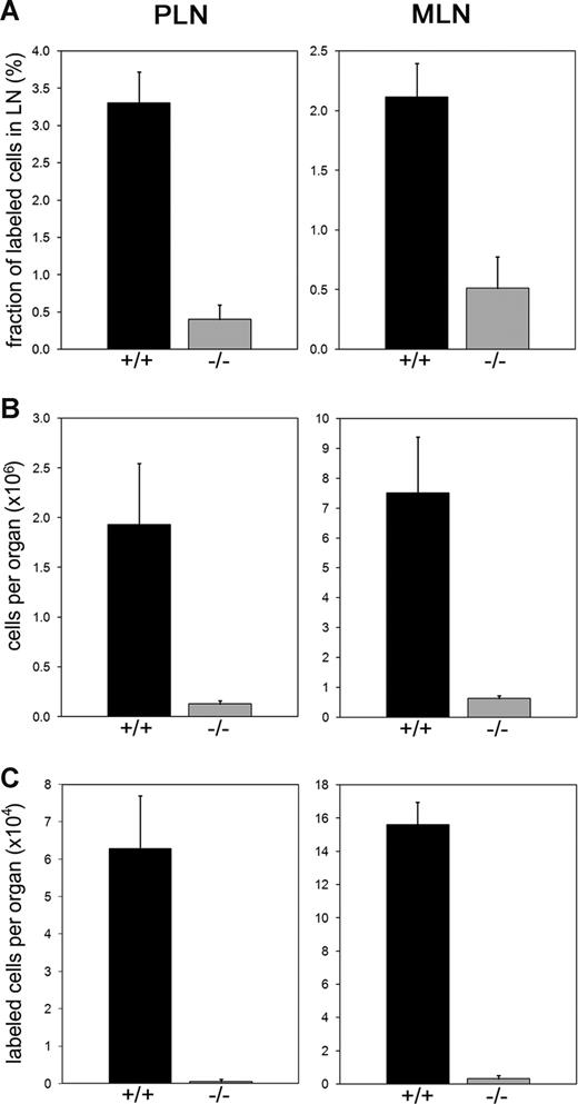 Figure 4. Lymphocyte homing to LNs. Wild-type lymphocytes were fluorescently labeled and injected into the tail veins of Slc35c1−/− mice (−/−) or littermate controls (+/+). Three hours later, PLNs and MLNs were recovered by microdissection. The fractions of fluorescent cells in LN cell suspensions were determined by flow cytometry. Total LN cell numbers were analyzed with a cell counter. (A) Fraction of labeled cells in LN cell suspensions. (B) Total number of cells per LN. (C) Absolute number of homed lymphocytes per LN. Data are from 3 experiments, with a total of at least 42 PLNs and 18 MLNs for each group.