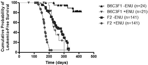 Figure 1. Kaplan-Meier survival curves of treated and untreated B6C3F1 PR+ and F2 mice. Untreated mice in the resistant parental background (B6C3F1 PR+) develop leukemia after a long latency and with low penetrance (▴). ENU treatment of PR+ mice in the B6C3F1 background increases leukemia penetrance and decreases latency (▾). Intercrossing SWR/J alleles has an effect equipotent to ENU treatment in B6C3F1 mice (▾ vs ■, P = .34; ▴ vs ▾ or ▴ vs ■, P < .001). Treatment with ENU further increases the rate and the incidence of leukemogenesis in F2 mice (■ vs ●, P < .001).
