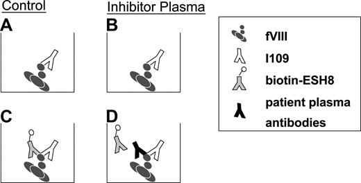 Figure 1. Identification of group BC/C anti-C2 antibodies in polyclonal human fVIII inhibitor plasmas. fVIII was coated on an ELISA plate and preincubated with group AB mAb I109 in both the control (severe hemophilia A noninhibitor plasma; A) and patient plasma (B) assays. Biotinylated group C Ab ESH8 was serially diluted into control plasma or inhibitor plasma. In the case of the control (C), both the group AB mAb and the biotinylated ESH8 can bind. If a saturating concentration of antibodies exists in the patient plasma that, like ESH8, bind to group BC or C epitopes, they will compete with biotinylated ESH8 for binding to fVIII (D).