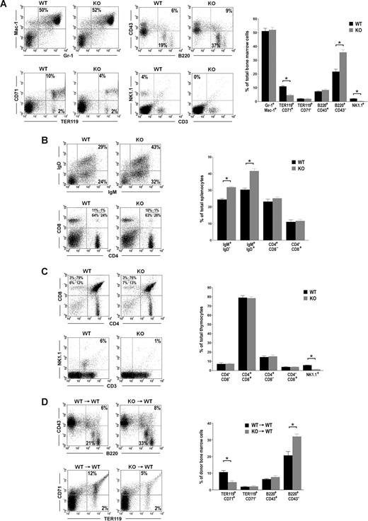 Figure 1. Id2 knock-out mice show enhanced B-cell development and impaired erythroid development. (A-C) FACS analysis of hematopoietic lineages in Id2+/+ and Id2−/− BM, spleens, and thymuses. (D) BMCs (5 × 105) from Id2+/+ or Id2−/− mice (CD45.2) together with 5 × 105 BMCs from C57BL/6 (CD45.1) mice were transplanted into irradiated C57BL/6 (CD45.1) mice. B-cell and erythroid reconstitution were examined 4 months after transplantation by analyzing CD45.2-positive BMCs using B220, CD43, TER119, and CD71 antibodies. *P < .01.