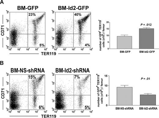 Figure 4. Id2 regulates erythroid development in vivo. (A) BMC-GFP and BMC-Id2-GFP were transplanted into lethally irradiated mice with supporting BMCs. A representative from 4 independent experiments was shown here. Eight mice were analyzed in each transplantation. Erythroid reconstitution in recipient BM was examined 4 weeks after transplantation by FACS analysis of GFP-positive cells using TER119 and CD71 antibodies. (B) BMC-NS-shRNA and BMC-Id2-shRNA were transplanted into lethally irradiated mice with supporting BMCs. A representative from 3 independent experiments is shown here. Eight mice were analyzed in each transplantation. Erythroid reconstitution was examined 4 weeks after transplantation in recipient BM by FACS analysis using TER119 and CD71 antibodies.