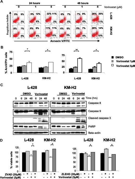 Figure 2. Vorinostat induces apoptosis in HL cell lines. (A) A representative experiment demonstrating the effect of 2 different concentrations of vorinostat (1 and 5 μM) on apoptosis as determined by the annexin-V binding assay. HL cell lines were incubated with medium or vorinostat (1-5 μM) for 24 or 48 hours before the percentage of dead cells was determined using dual staining with annexin-V and propidium iodide. Vorinostat induces apoptosis in both HL cell lines especially when higher concentrations were used for 48 hours. Percentages of dead cells are shown in each quadrant. (B) Summary results of vorinostst-induced cell death (PI and annexin-V positive cells) from 3 independent experiments. Results after incubations for 24 hours (left panel) and 48 hours (right panel) are shown. Each value is the mean of 3 independent experiments performed in triplicate (± SEM). * denotes a P value of less than .05, and ** denotes a P value of less than .005. (C) HL cell lines were incubated with medium or 5 μM of vorinostat for 6 to 48 hours. Whole cell lysates were examined by Western blot for changes in intracellular proteins. Using this high concentration of vorinostat (5 μM) apoptosis was associated with activation of caspases 8, 9, 3 and PARP cleavage. Consistent with data presented in Figure 2A and B, lower concentrations of vorinostat (1 μM) did not induce caspase activation during the same time frame (Figure S1, available on the Blood website; see the Supplemental Materials link at the top of the online article). (D) Vorinostat-induced cell death of HL cell lines was either partially or completely blocked by the pan-caspase inhibitor Z-VAD-FMK (left panel) or by the caspase 9 inhibitor Z-LEHD-FMK (right panel). HL cell lines were incubated with medium or Z-VAD-FMK (20 μM), Z-LEHD-FMK (20 μM), vorinostat (5 μM), or a combination of vorinostat and Z-VAD-FMK or vorinostat and Z-LEHD-FMK. After 24 hours, the viable cells were counted using a 3-(4,5dimethyltioazol-2-yl)-5-(3-carboxymethoxy-phenyl)-2-(4-sulfonyl)-2H-tetrazolium (MTS) assay. Each value represents a mean of 3 independent experiments done in triplicate (± SEM). * denotes a P value of less than .05.