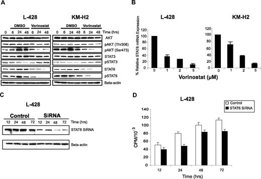 Figure 3. Effect of vorinostat inhibits STAT6 in HL cell lines. (A) L-428 and KM-H2 cell lines were incubated with 5 μM of vorinostat for 6 to 48 hours. Whole cell lysates were examined by Western blotting. As shown, vorinostat induced down-regulation of pAkt (Ser473) without inducing changes in total Akt or pAkt (Thr308), and decreased STAT6 and pSTAT6 levels without a significant effect on STAT3. (B) Vorinostat down-regulated STAT6 mRNA expression in a dose-dependent manner. Cells were cultured with medium and vorinostat (1-5 μM) for 24 hours, and the effects on STAT6 mRNA expression was determined by the TaqMan PCR assay. Results were normalized to GAPDH and represent the mean of 3 independent experiments (± SEM). (C) L428 cell line was transfected with STAT6 siRNA and the efficacy of this method was confirmed by measuring STAT6 protein levels by Western blot. Cells that were incubated with STAT6 siRNA demonstrated a 50% reduction in STAT6 protein after 48 hours compared with those incubated with control siRNA. This is a representative experiment of 3 independent experiments demonstrating similar results. (D) Effect of STAT6 knock down by siRNA on cell proliferation. L-428 cells that were transfected with STAT6 siRNA demonstrated lower proliferative rate and thymidine incorporation compared with those transfected with control siRNA.
