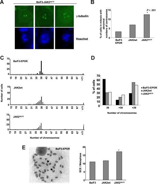 Figure 4. JAK2V617F induces centrosome and chromosome abnormalities. (A) Centrosome abnormalities in mitosis. Examples of Ba/F3-JAK2V617F cells with 2, 3, or 4 centrosomes visualized by immunofluorescence with an anti–γ-tubulin antibody (top panels). The bottom panels illustrate the corresponding Hoechst staining showing the cell nucleus. (B) The percentage of cells in metaphase with extra centrosomes (> 2) was measured in Ba/F3-expressing JAK2wt or JAK2V617F cells or in parental cell lines. At least 200 cells in metaphase were counted, and significant difference was analyzed using χ2 tests. *Significant differences (P < .001) compared with Ba/F3 control cell lines. (C) The ploidy of the different cell lines was analyzed. At least 100 cells in metaphase per cell line were analyzed, and a nonparametric analysis of variance was used for statistical significance of the distribution. Significant difference (P < .01) was found in Ba/F3 expressing JAK2wt and JAK2V617F compared with Ba/F3 control cell lines. (D) Histograms represent the percentage of cells with 39 chromosomes and less or more than 39 chromosomes in Ba/F3 cell lines. (E) An example of metaphase cells spread from Ba/F3-EPOR cells displaying SCEs. Then, SCEs were counted on cells in metaphase in each cell line. At least 50 cells in metaphase were counted, and a nonparametric analysis of variance was used for statistical significance of the distribution. Significant difference (P < .001) was found in Ba/F3 expressing JAK2V617F compared with Ba/F3 control cell lines.
