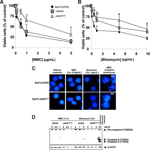 Figure 5. JAK2V617F induces resistance toward genotoxic agents. Cells were treated for 1-hour exposure with various concentrations of (A) MMC or (B) bleomycin, and cell viability was assessed by trypan blue exclusion 48 hours later. *Statistical significance (P < .05) using Student t test. Error bars represent SD. (C) Morphologic features were analyzed after 4,6 diamidino-2-phenylindole staining either in untreated cells or in 1-hour-treated cells to identify potentially apoptotic cells. Continuous MMC treatment for 48 hours was used as a positive control (percentage of apoptotic cells > 0% is indicated in the images). (D) Cleavage of caspase 3 was analyzed by Western blotting using an anti–caspase 3 antibody 48 hours after treatment.
