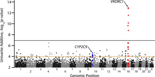 Figure 1. Genome-wide P values for warfarin dose association in the index population. All P values shown are for univariate effects using an additive genetic model. Chromosomes are numbered on the x-axis. Polymorphisms within 500 kb of VKORC1 and CYP2C9 are shown in red and blue, respectively. Genome-wide significance was set at the P value 10−7 (black line), and polymorphisms with P values less than 10−4 (brown line) were selected for replication, among others (see “Statistical analysis”).