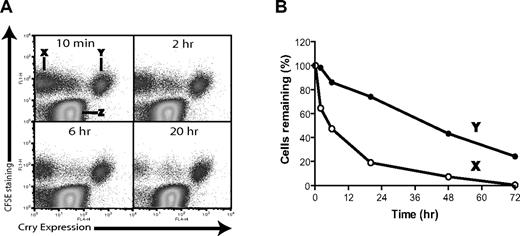 Figure 3. Rescue of DAF−/−/Crry−/−/C3−/− mouse platelets by retroviral transgenic expression of Crry. (A) Tracking by FACS of the survival of nontransgenic (population X) and Crry-transgenic (population Y) DAF−/−/Crry−/−/C3−/− platelets in WT recipients. Donor platelets were labeled with CFSE and were distinguishable from endogenous WT platelets (population Z). (B) Plot of elimination kinetics of populations X and Y platelets in panel A. The percentage of platelets remaining at each time point was normalized to the percentage of platelets remaining at 10 minutes after transfusion.