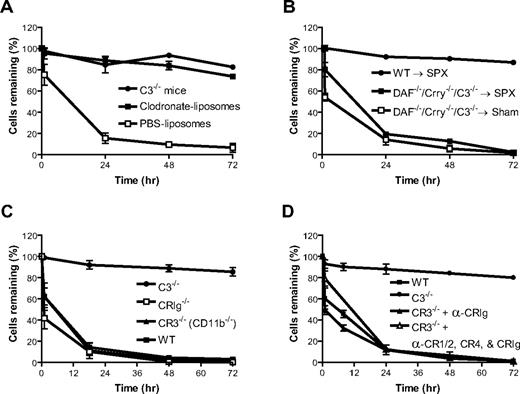 Figure 5. Role of macrophage and complement receptors in the elimination of DAF−/−/Crry−/−/C3−/− erythrocytes. (A) Treatment of recipient mice with clodronate-liposomes (■; n = 4) but not PBS-liposomes (□; n = 4, negative control) prevented accelerated elimination of DAF−/−/Crry−/−/C3−/− erythrocytes. C3−/− mice (●; n = 4) were used as control recipients. (B) Splenectomy (SPX) did not prevent DAF−/−/Crry−/−/C3−/− erythrocytes from accelerated elimination. DAF−/−/Crry−/−/C3−/− erythrocytes transfused into splenectomized WT recipients (■; n = 3) had similar half-life to those transfused into sham-operated WT mice (□; n = 3), and both were rapidly eliminated. WT erythrocytes transfused into splenectomized WT recipients (●; n = 3) remained stable. (C) DAF−/−/Crry−/−/C3−/− mouse erythrocytes were not rescued in CRIg−/− (□; n = 4) or CR3−/− (▴; n = 3) mice. WT (■; n = 3) and C3−/− (●; n = 3) mice were used as control recipients. (D) Neither blockade of CRIg by antibody (16G8.2) in CR3−/− mice (▴; n = 2) nor blockade of CRIg, CR1/2, CR4 by antibody (16G8.2), (7G6), and (N418) all in CR3−/− mice (▵; n = 3) did not rescue DAF−/−/Crry−/−/C3−/− erythrocytes. WT (■; n = 2) and C3−/− (●; n = 2) mice were used as control recipients. All error bars means represent (±SEM).