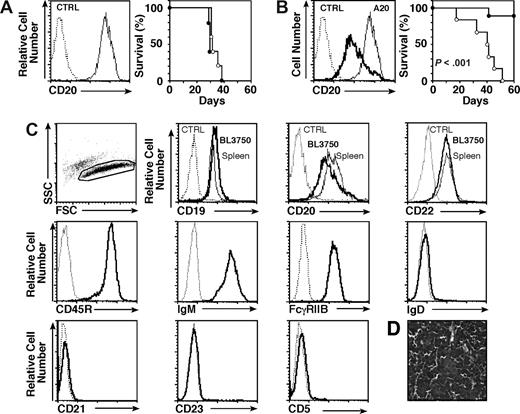 Figure 1. In vivo model of lymphoma immunotherapy. Survival of mice given (A) A20 cells, or (B) BL3750 tumor cells from a cMycTG+/− mouse. Left panels: CD20 expression by tumor cells (thick line) and the A20 cell line (thin line) assessed by immunofluorescence staining with flow cytometry analysis. Right panels: Mouse survival following subcutaneous transfer of 106 A20 or 105 BL3750 lymphoma cells on day 0. All mice were given CD20 (•) or control (○) mAb intravenously (250 μg/mouse) on day 1 (n = 4-9 mice/group). (C) Cell surface immunophenotype of BL3750 cells evaluated by immunofluorescence staining with gating on live cells as identified by forward/side light scatter as shown. Comparisons of CD19, CD20, and CD22 expression by BL3750 cells (thick line) and spleen B220+ cells (thin line) from cMycTG+/− mice was assessed by 3-color analysis. Cell surface expression of CD45R (B220), IgM, FcγRIIB, IgD, CD21, CD23, and CD5 (thick line) was assessed by 2-color analysis. Results represent those obtained in 3 independent experiments. (A-C) Background staining using a control (CTRL) mAb is shown (dashed line). (D) Hematoxylin and eosin staining of a lymph node tissue section 28 days after mice were given BL3750 cells. Results represent those obtained in 3 mice. Image was acquired with an Olympus BX60 microscope (Olympus, Center Valley, PA; magnification 40×/1.00 oil iris) and Camera SPOT 1.3.0 (Diagnostic Instruments, Sterling Heights, MI). Image was processed with SPOT 4.0.4 (Diagnostic Instruments) and Adobe Photoshop CS2, version 9.0.2 (Adobe Systems, San Jose, CA).