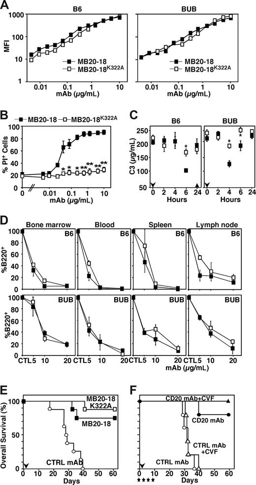 Figure 5. CD20 mAb-mediated lymphoma depletion is complement independent in vivo. (A) Reactivity of CD20 mAbs with spleen B cells in B6 (left panel) and BUB (right panel) mice. Mean fluorescence intensity (MFI) of IgG2a MB20-18 (■) and MB20-18K322A (□) staining over a range of mAb concentrations. Staining was visualized using PE-conjugated isotype-specific secondary Abs with flow cytometric analysis. Results represent those obtained in 3 or more experiments. (B) In vitro complement-dependent cytotoxicity of A20 cells by MB20 mAbs. Values represent mean (± SEM) percentages of B220+ cells that were PI+ in 3 or more experiments. (C) Serum C3 levels in B6 and BUB mice determined by ELISA after injection of MB20-18 (■) or MB20-18K322A (□) mAb (downward ). Results represent 2 different experiments with 4 mice for each group and strain. C3 values in CVF-treated mice are shown (▴, n = 3 mice) in the left panel. Significant differences between sample means are indicated (*P < .05; **P < .001). (D) MB20-18 (■) or MB20-18K322A (□) mAb depletion of B cells in B6 and BUB mice. Bone marrow (mature IgM+B220hi), blood (B220+), spleen (mature CD24+CD21+B220+), and peripheral lymph node (B220+) B-cell numbers were determined 7 days after mAb treatment at the indicated mAb doses. Values (± SEM) represent percentages of B cells present in mAb-treated mice relative to control mAb-treated littermates (≥ 2 mice per value). (E) B6 mouse survival following transfer of 105 BL3750 cells subcutaneously on day 0 with MB20-18 (■), MB20-18K322A (□), or control (○) mAb (100 μg/mouse; n = 6 mice/group) given intravenously on day 1 (downward ). (F) Mouse survival following transfer of 105 BL3750 cells subcutaneously on day 0 with CD20 (MB20-11) or control mAb (250 μg/mouse) given intraperitoneally on day 1 (downward ). CVF or PBS was given on days 0, 3, 5, and 9 (downward ). Mice were treated with CVF and CD20 (■) or control (□) mAb. As controls, PBS was given along with CD20 (•) or control (○) mAb treatments (n = 5 mice/group).