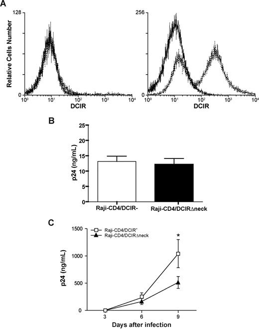 Figure 7. The neck domain of DCIR is important for interaction with HIV-1. (A) Raji-CD4 cells were nucleofected with either an empty control vector (left panel) or a mammalian expression vector coding for a neck-deleted DCIR mutant (ie, DCIRΔneck) (right panel). Five hours later, flow cytometric analysis of DCIR was performed using a combination of PE-labeled anti-DCIR monoclonal Ab (dotted lines) and a control Ab (continuous lines). Data shown correspond to a single experiment representative of 5 combined independent experiments. (B) Parental (DCIR-negative) and DCIRΔneck-expressing Raji-CD4 (3 × 106 cells) were exposed to NL4-3 (300 ng p24) for 60 minutes at 37°C. After 3 washes with PBS to remove unabsorbed virus, cell-associated virus was quantified by measuring the p24 content. Data shown correspond to the means plus or minus SD of triplicate samples from 5 combined independent experiments. (C) Parental (DCIR-negative) and DCIRΔneck-expressing Raji-CD4 (1.5 × 105 cells) were exposed to NL4-3 (1.5 ng p24) for 2 hours at 37°C. After 3 washes with PBS to remove excess virus, cells were maintained in culture. Cell-free culture supernatants were collected at the indicated time points and assayed for the p24 content. Data shown correspond to the means plus or minus SD of triplicate samples and are representative of 5 combined independent experiments. The asterisk denotes statistically significant data (*P < .05).