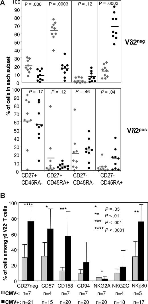 Figure 4. The expanded Vδ2− γδ T cells in CMV-experienced donors are mainly TEMRA cells. Freshly collected blood from CMV− or CMV+ blood donors was stained for 6-color flow cytometric analysis with mAbs directed against CD3, γδ TCR, Vδ2 and activation markers or NKR. Raw data are presented in Figure S3. (A) Percentages of Vδ2+ or Vδ2− γδ T cells positive for CD27 and/or CD45RA in 9 CMV− () and 9 CMV+ donors (●). The short line represents the mean percentage for each cohort. (B) Mean (± SD) percentages of positive cells (for CD57, CD158a/h, b/j, i, e, CD94, NKG2A, NKG2C, or NKp80) or negative cells (for CD27) among Vδ2− γδ T cells from CMV− or CMV+ blood donors.