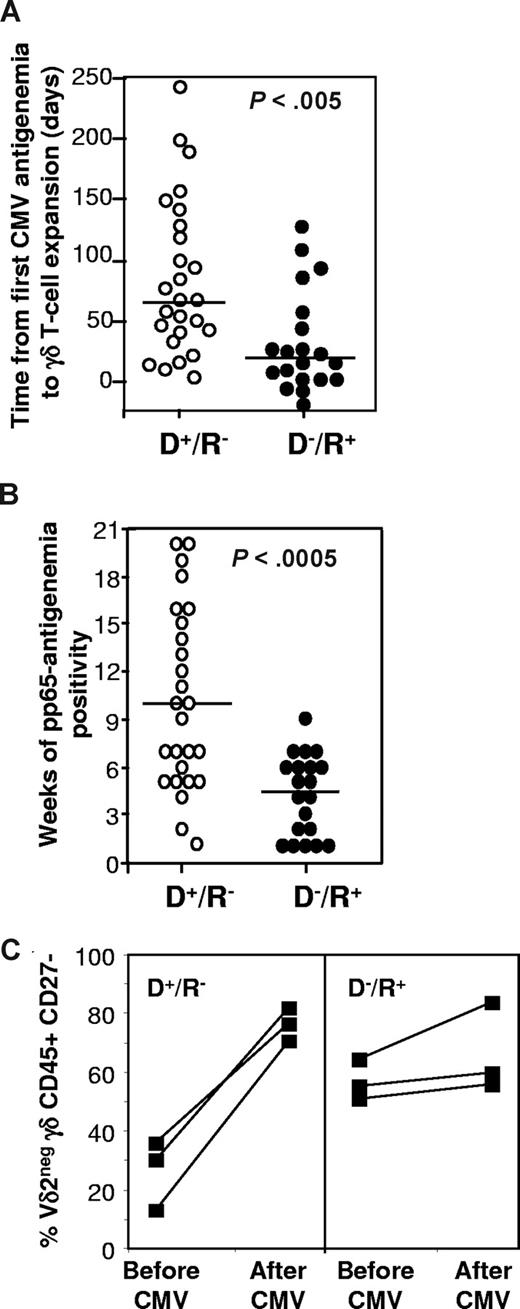 Figure 5. A faster expansion of γδ T cells correlates with a faster infection resolution during CMV reactivation compared with primary infection. Forty-six renal allotransplantation patients, selected because they developed CMV infections, were divided according to the CMV serology of the recipient (R) and the donor (D) at the time of the graft. All patients displayed γδ T-cell expansion in their peripheral blood. (A) The time to γδ T-cell expansion was defined for each patient as the interval between the first day of CMV detection in the peripheral blood (pp65 antigenemia) and the day when γδ T cell levels plateaued.22 (B) The duration of infection was defined as the number of weeks with a positive pp65 antigenemia. The long dashes in panels A and B represent the median value for each cohort. (C) 3 D+/R− and 3 D−/R+ transplant patients who developed a CMV infection were monitored longitudinally for CD45RA and CD27 expression by Vδ2− γδ T cells. Represented are the percentages of CD45RA+CD27− cells in the Vδ2− γδ T-cell population before and after CMV infection.