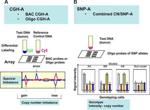 Figure 2. General principles of CGH-A and SNP-A arrays. (A) In CGH-A, control DNA is used as reference for the test DNA obtained from putative tumor DNA. Analysis of spectra generated through hybridization of differentially labeled DNA to oligo or BAC probes on array is shown below. Decreased copy number in the tumor DNA results in decreased intensity of the signal for the test and increased signal for reference DNA. (B) In SNP-A, hybridization of amplified and labeled DNA to probes corresponding to alleles for each locus results in a genotyping pattern allowing for determination of the heterozygosity or homozygosity for each allele. At the same time, intensity of the hybridization signals allows for determination of copy number changes.